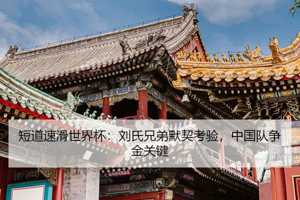duan-dao-su-hua-shi-jie-bei-liu-shi-xiong-di-mo-qi-kao-yan-zhong-guo-dui-zheng-jin-guan-jian-2-580.jpg