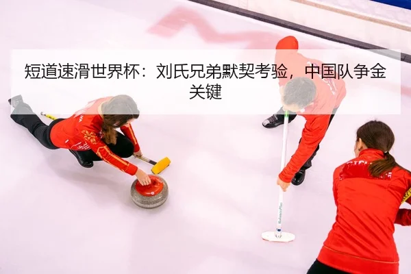 duan-dao-su-hua-shi-jie-bei-liu-shi-xiong-di-mo-qi-kao-yan-zhong-guo-dui-zheng-jin-guan-jian-3-182.jpg